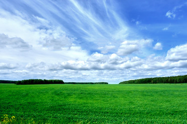 Similar image 19607125