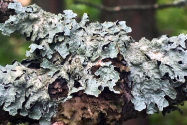 Similar image 19193241