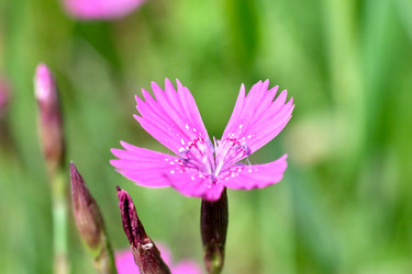 Similar image 19193243