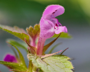 Similar image 19193254