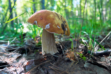 Similar image 19193255