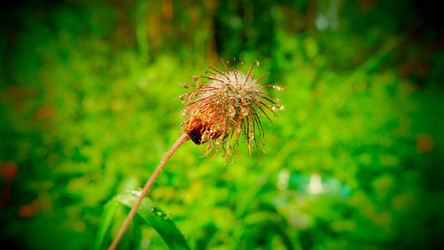 Similar image 19193256