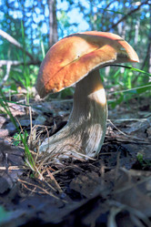 Similar image 19193257