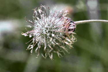 Similar image 19193258