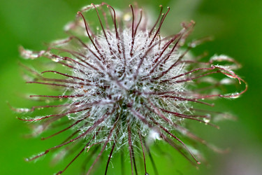 Similar image 19193260