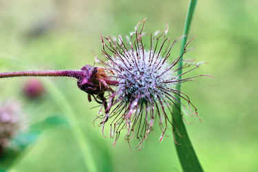 Similar image 19193261