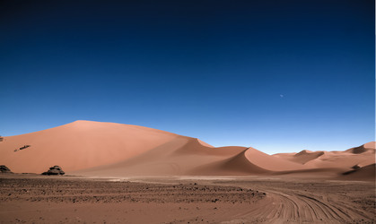 Similar image 19776117