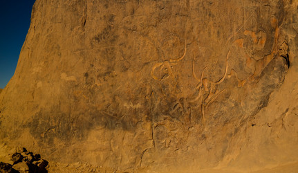 Similar image 19776051