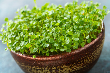 Similar image 19513225