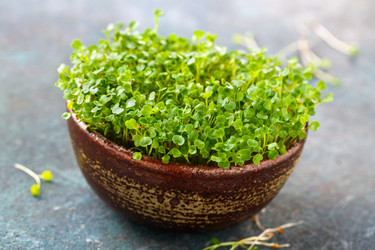 Similar image 19513236