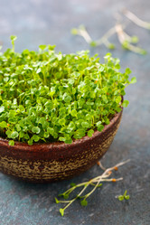 Similar image 19499162