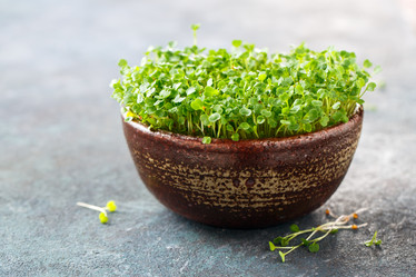 Similar image 19499165