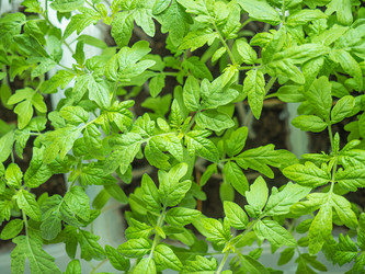 Similar image 19743196