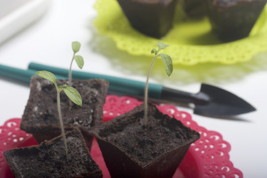 Similar image 19794926