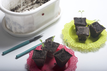 Similar image 19794928