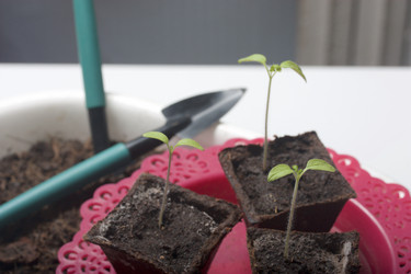 Similar image 19794929