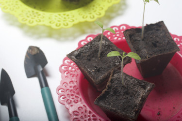 Similar image 19794930