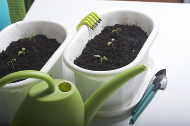 Similar image 19794932