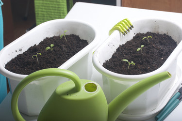 Similar image 19794951