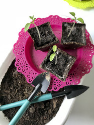 Similar image 19794959