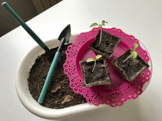 Similar image 19794961