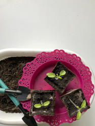 Similar image 19794970