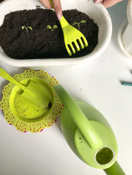 Similar image 19794975