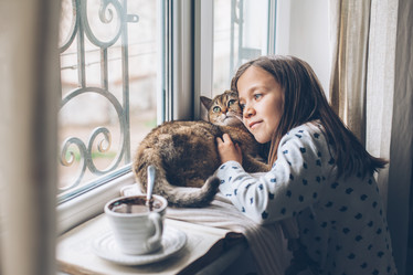 Similar image 19556643