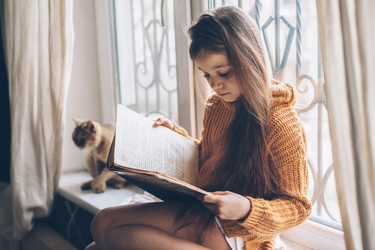 Similar image 19556683