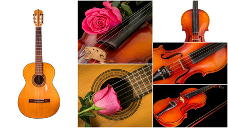 Similar image 19202029