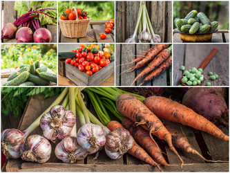 Similar image 19202030