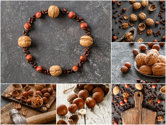 Similar image 19202062