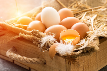 Similar image 19202075