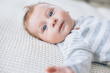 Similar image 19556721