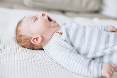 Similar image 19556731