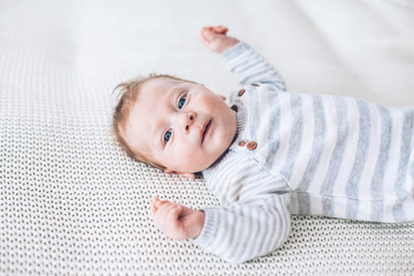 Similar image 19556735