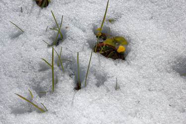 Similar image 19742952