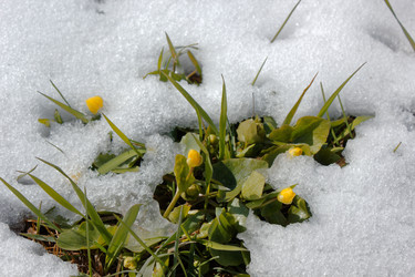 Similar image 19742956