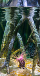 Similar image 19196197