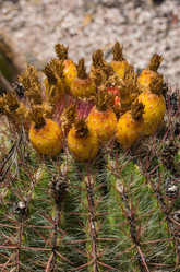 Similar image 19196201