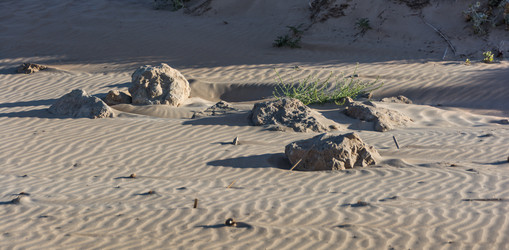 Similar image 19196204