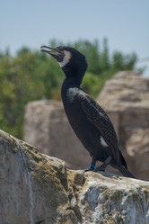 Similar image 19196205