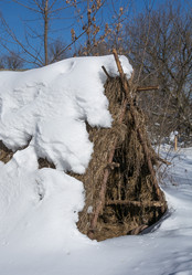 Similar image 19196232