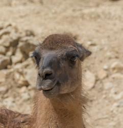 Similar image 19196255