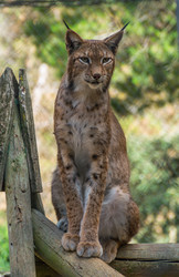 Similar image 19196257