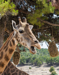 Similar image 19196264