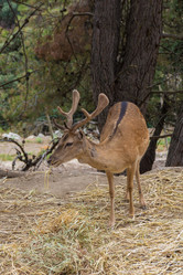 Similar image 19196268