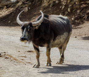 Similar image 19196287