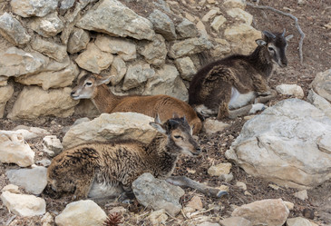 Similar image 19196282