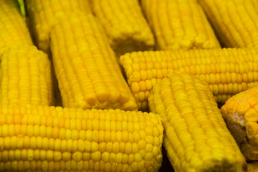 Similar image 19196315